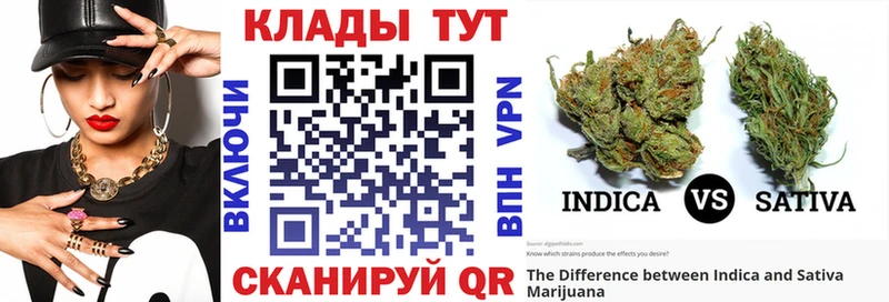 Наркота Гатчина Альфа ПВП  Галлюциногенные грибы  Гашиш  Меф мяу мяу  Канабис  Cocaine 