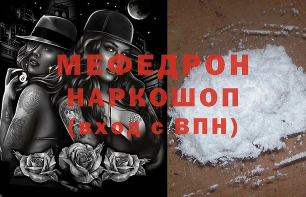 индика Богородицк
