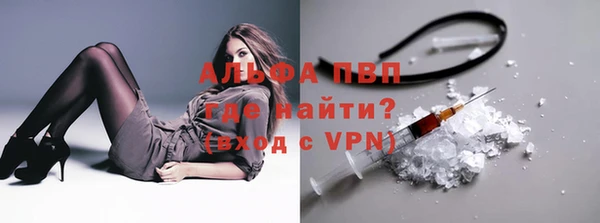 индика Богородицк