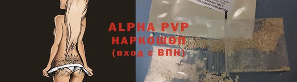 индика Богородицк
