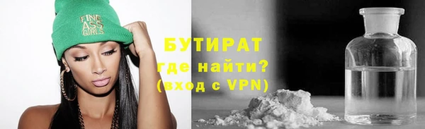индика Богородицк