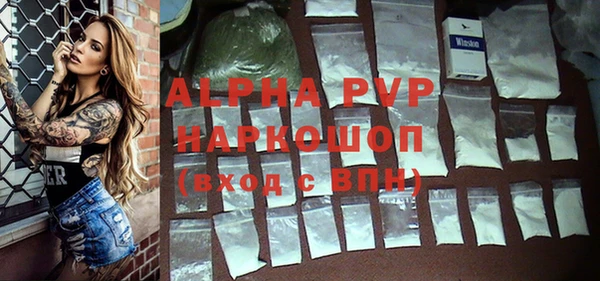 индика Богородицк