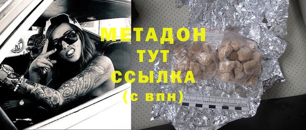 индика Богородицк