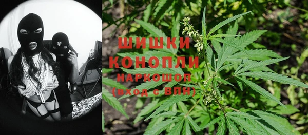 индика Богородицк