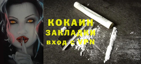 индика Богородицк