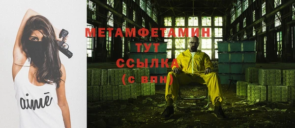 индика Богородицк