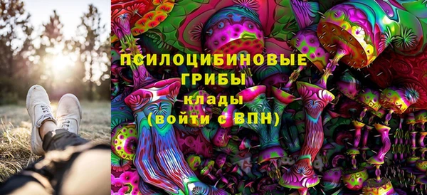 индика Богородицк