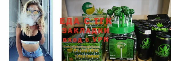 индика Богородицк
